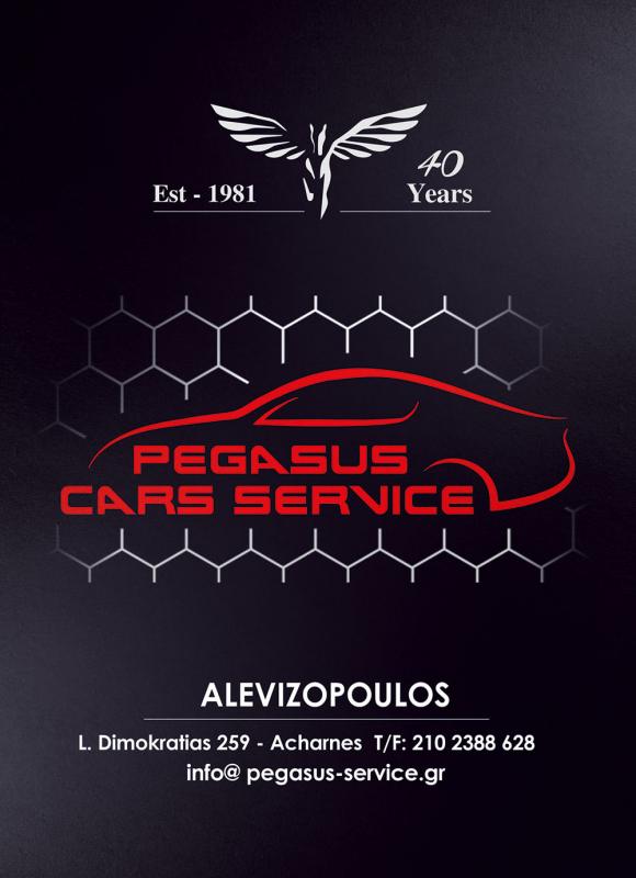 PEGASUS SERVICE